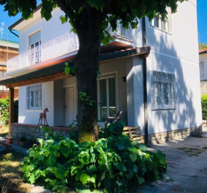 Villa Enrica: Soggiorno nel cuore della toscana